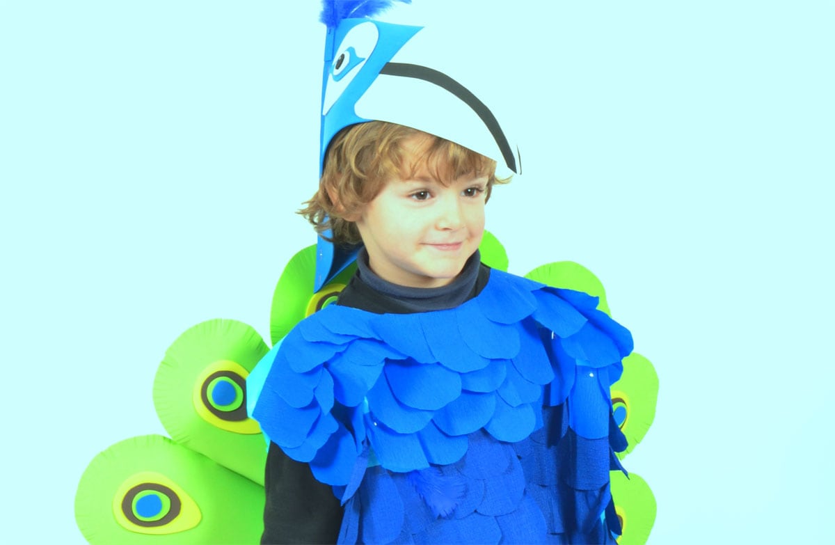 Disfraz de pavo real para niño.