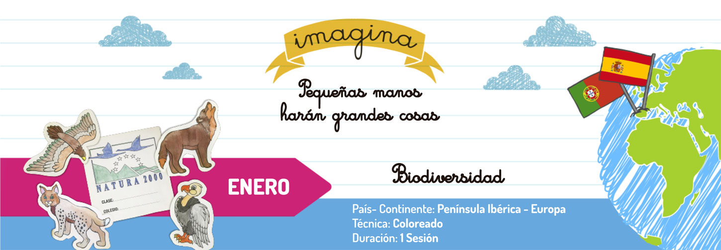 Manualidades para escuelas con BIC: Biodiversidad