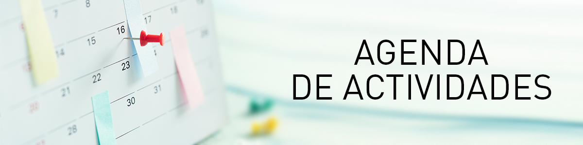 Nuestras actividades culturales para este verano