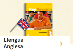 Llengua Anglesa